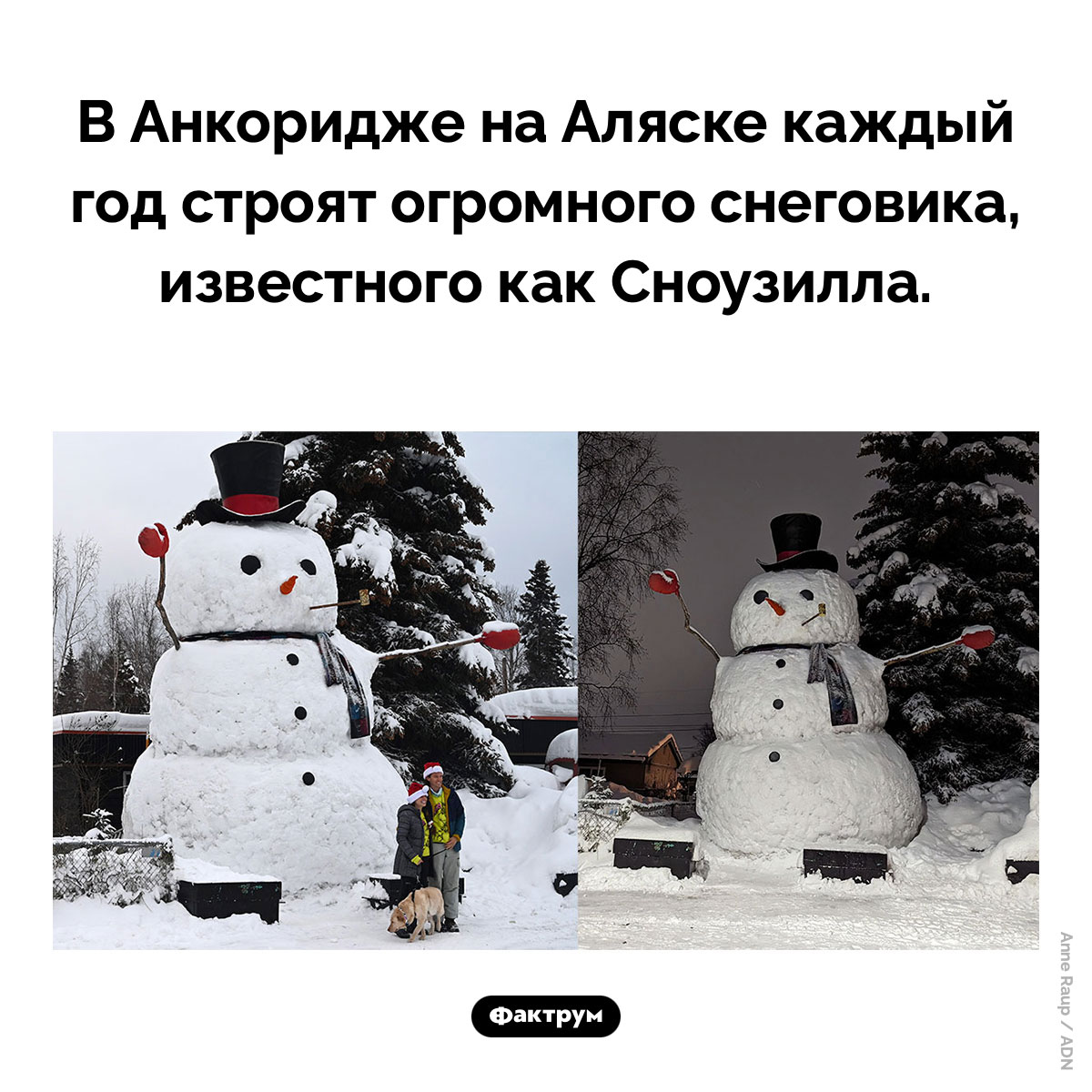 Сноузилла. В Анкоридже на Аляске каждый год строят огромного снеговика, известного как Сноузилла.