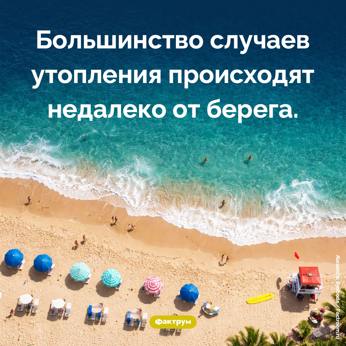 Где происходит большинство случаев утопления. Большинство случаев утопления происходят недалеко от берега.