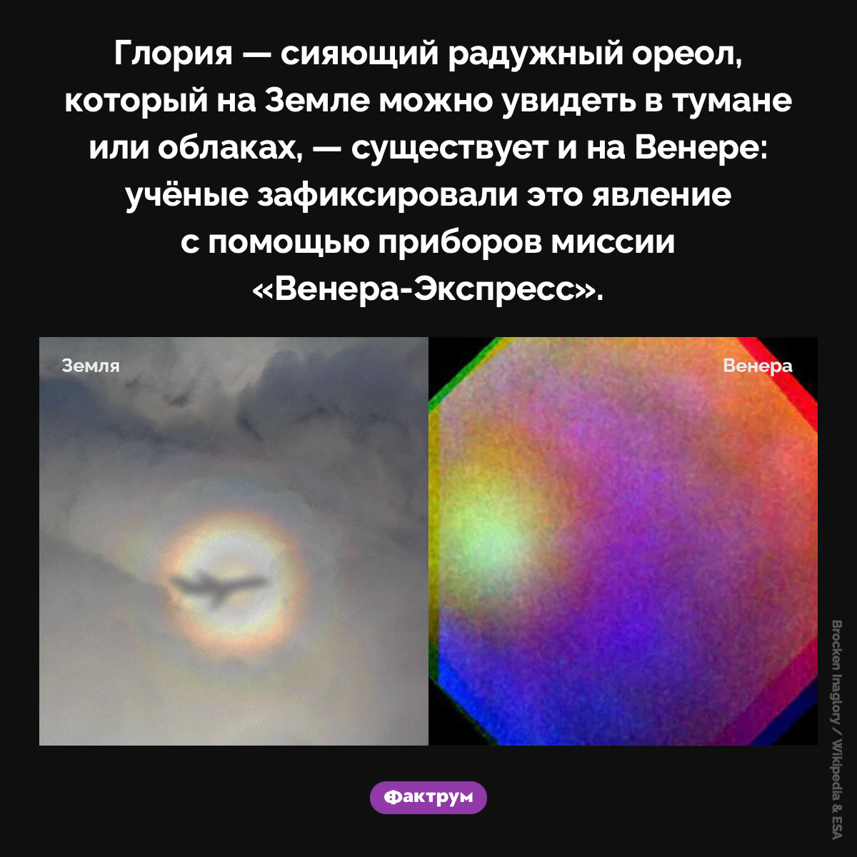 Глория на Венере. Глория — сияющий радужный ореол, который на Земле можно увидеть в тумане или облаках, — существует и на Венере: учёные зафиксировали это явление с помощью приборов миссии «Венера-Экспресс».