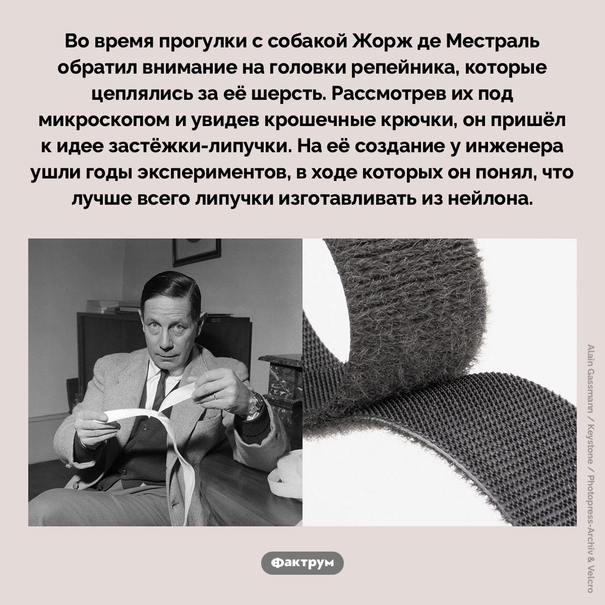 Как была придумана застёжка-липучка. Во время прогулки с собакой Жорж де Местраль обратил внимание на головки репейника, которые цеплялись за её шерсть. Рассмотрев их под микроскопом и увидев крошечные крючки, он пришёл к идее застёжки-липучки. На её создание у инженера ушли годы экспериментов, в ходе которых он понял, что лучше всего липучки изготавливать из нейлона.