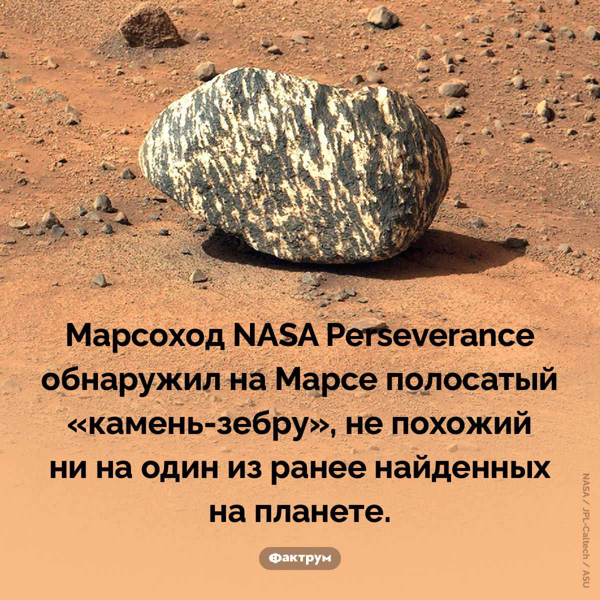 Камень-зебра. Марсоход NASA Perseverance обнаружил на Марсе полосатый «камень-зебру», не похожий ни на один из ранее найденных на планете.