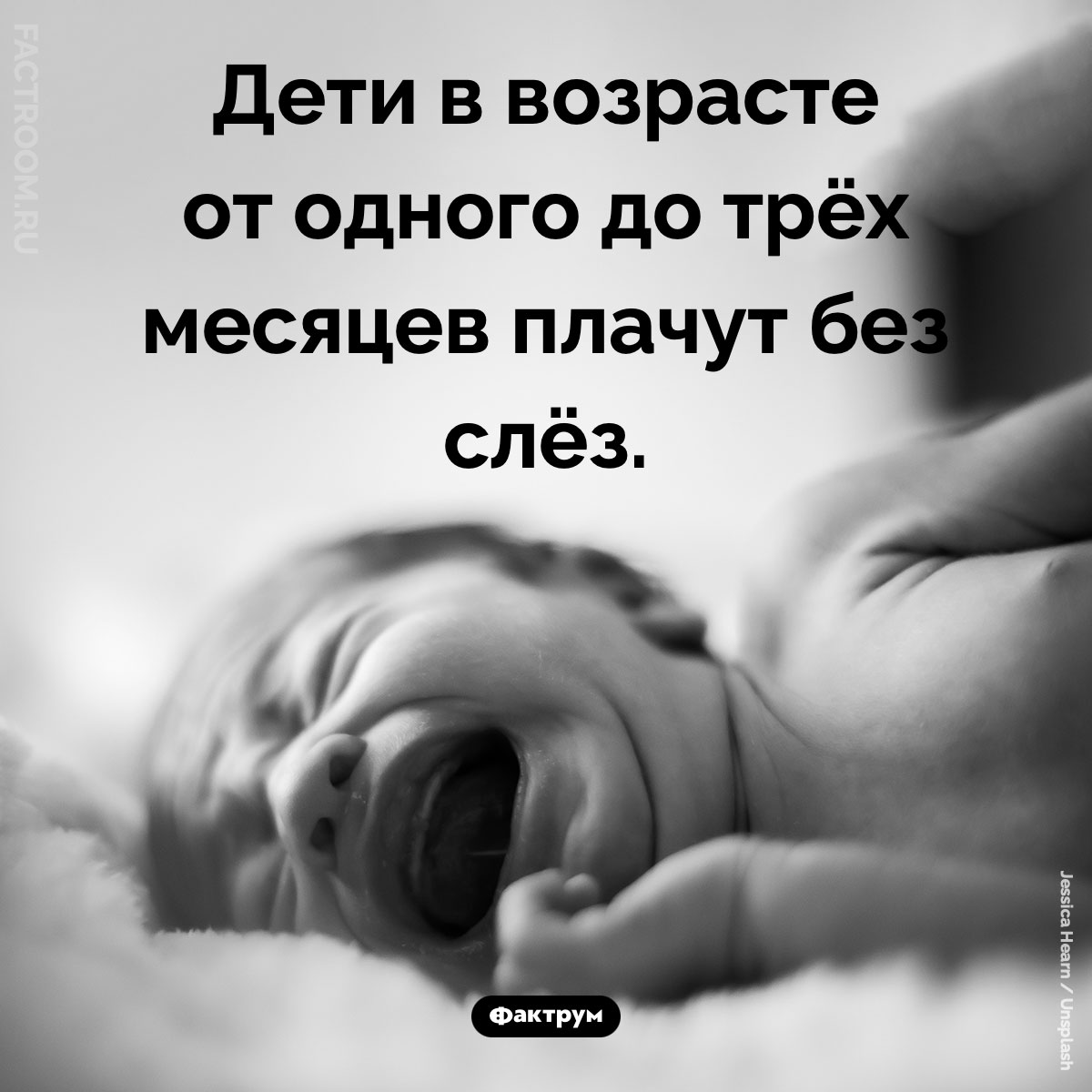 Когда дети плачут без слёз. Дети в возрасте от одного до трёх месяцев плачут без слёз.
