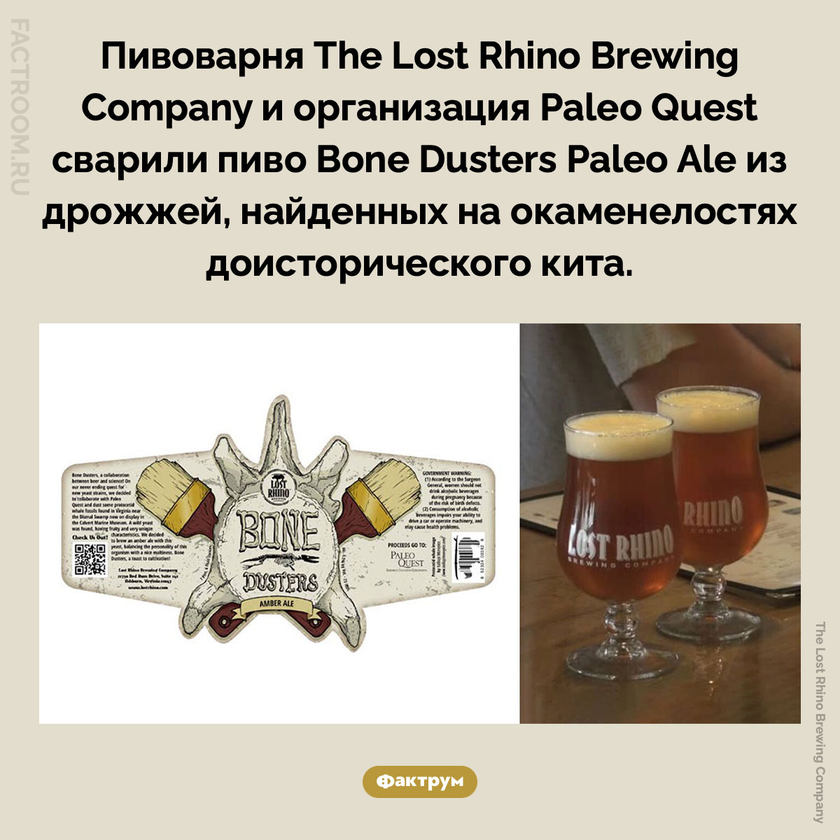 Палеопиво. Пивоварня The Lost Rhino Brewing Company и организация Paleo Quest сварили пиво Bone Dusters Paleo Ale из дрожжей, найденных на окаменелостях доисторического кита.