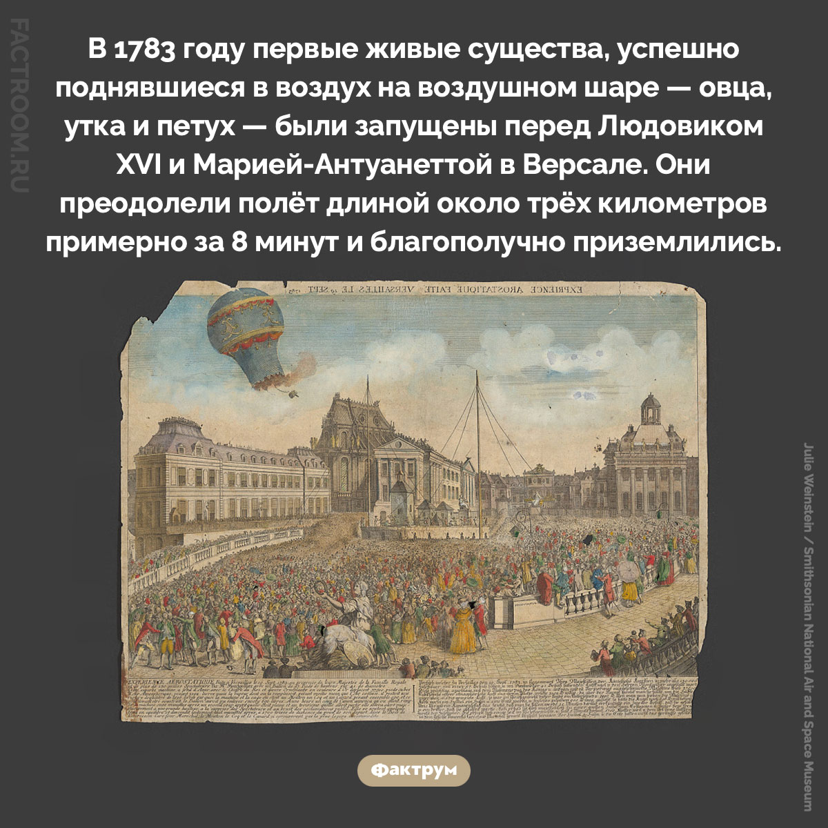 Первые живые существа на воздушном шаре. В 1783 году первые живые существа, успешно поднявшиеся в воздух на воздушном шаре — овца, утка и петух — были запущены перед Людовиком XVI и Марией-Антуанеттой в Версале. Они преодолели полёт длиной около трёх километров примерно за 8 минут и благополучно приземлились.