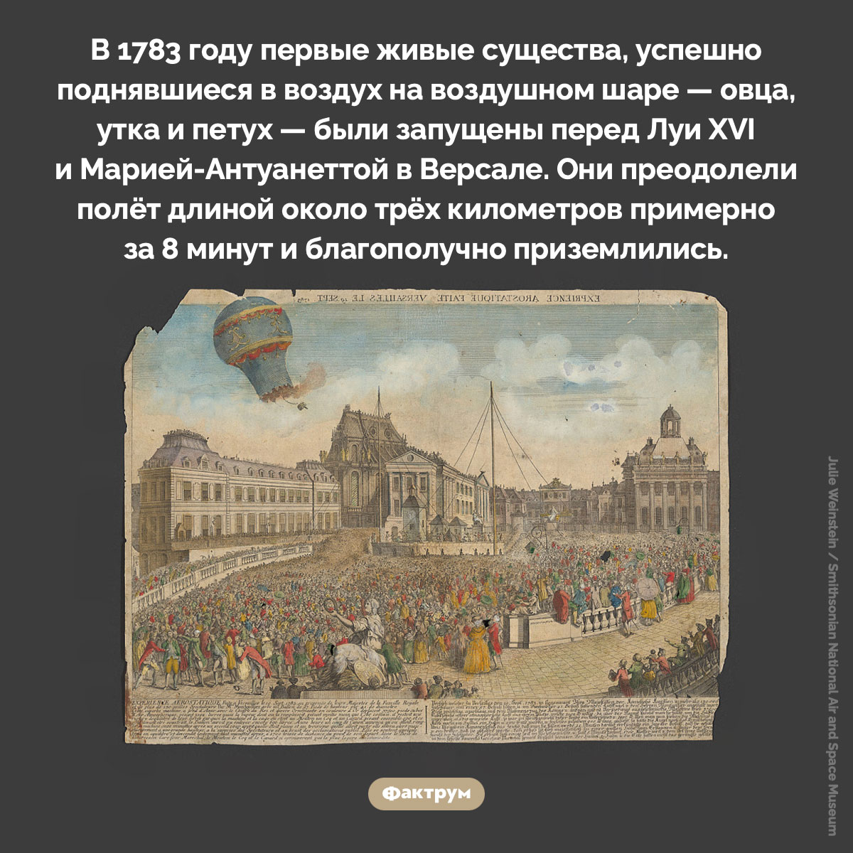 Первые живые существа на воздушном шаре. В 1783 году первые живые существа, успешно поднявшиеся в воздух на воздушном шаре — овца, утка и петух — были запущены перед Луи XVI и Марией-Антуанеттой в Версале. Они преодолели полёт длиной около трёх километров примерно за 8 минут и благополучно приземлились.