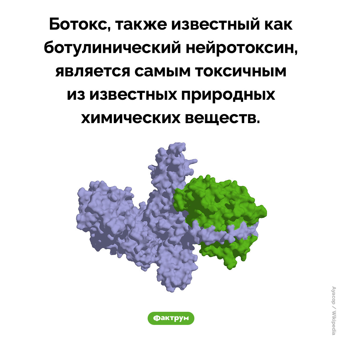 Самое токсичное природное химическое вещество. Ботокс, также известный как ботулинический нейротоксин, является самым токсичным из известных природных химических веществ.