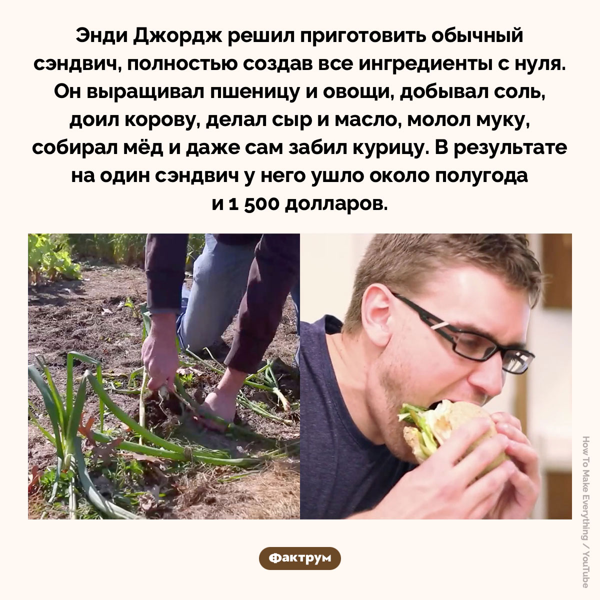 Сэндвич с нуля. Энди Джордж решил приготовить обычный сэндвич, полностью создав все ингредиенты с нуля. Он выращивал пшеницу и овощи, добывал соль, доил корову, делал сыр и масло, молол муку, собирал мёд и даже сам забил курицу. В результате на один сэндвич у него ушло около полугода и 1 500 долларов.