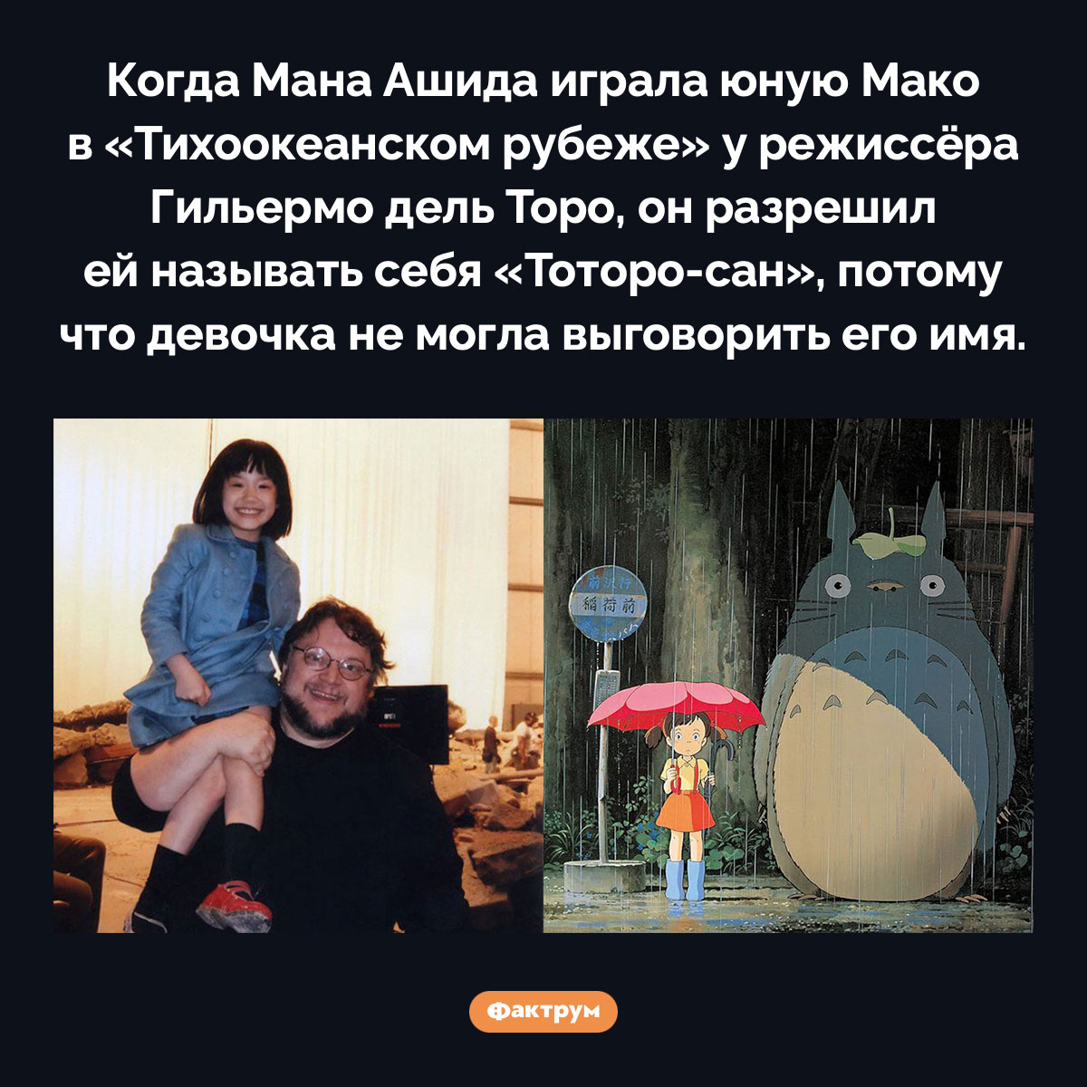 Тоторо-сан. Когда Мана Ашида играла юную Мако в «Тихоокеанском рубеже» у режиссёра Гильермо дель Торо, он разрешил ей называть себя «Тоторо-сан», потому что девочка не могла выговорить его имя.