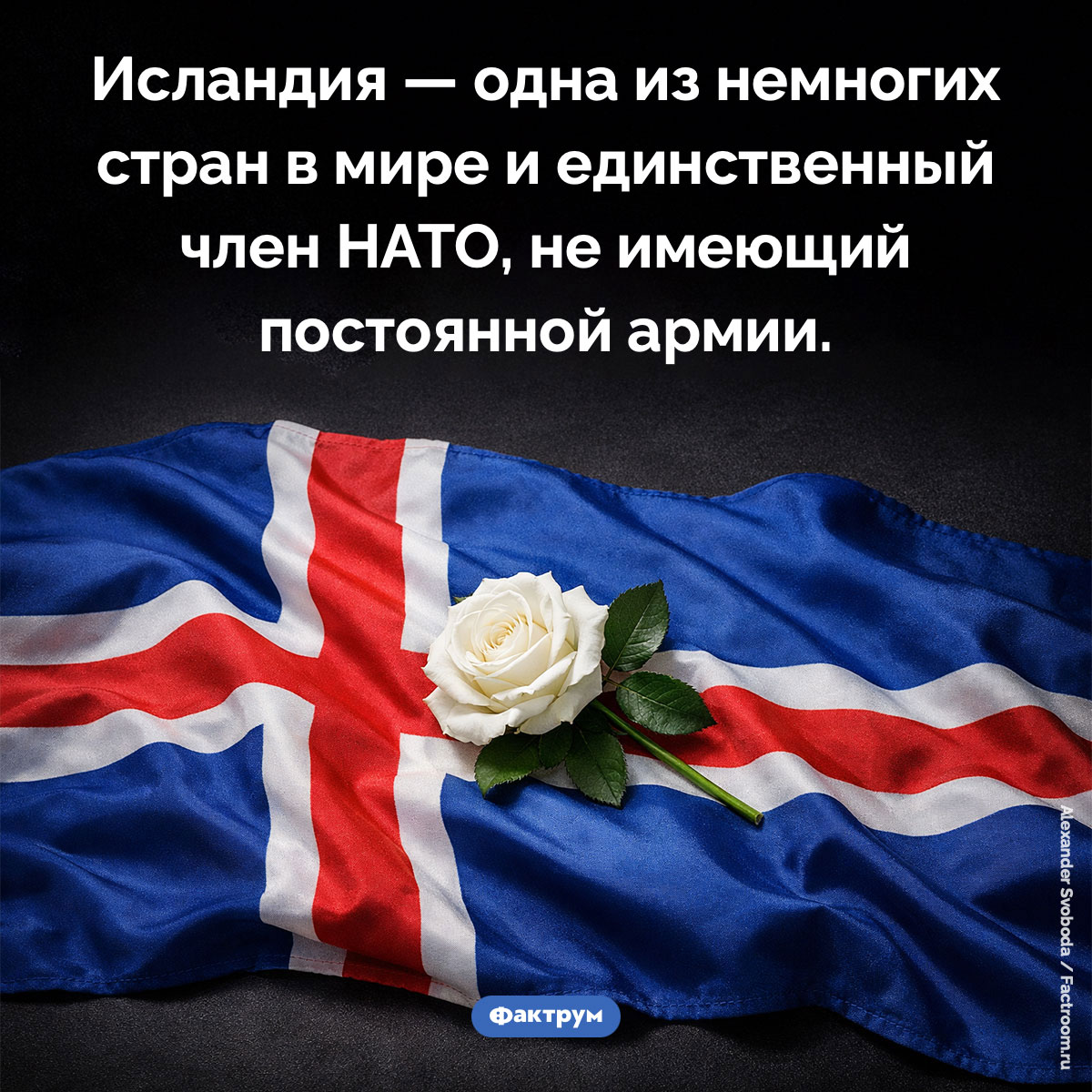 У Исландии нет армии. Исландия — одна из немногих стран в мире и единственный член НАТО, не имеющий постоянной армии.