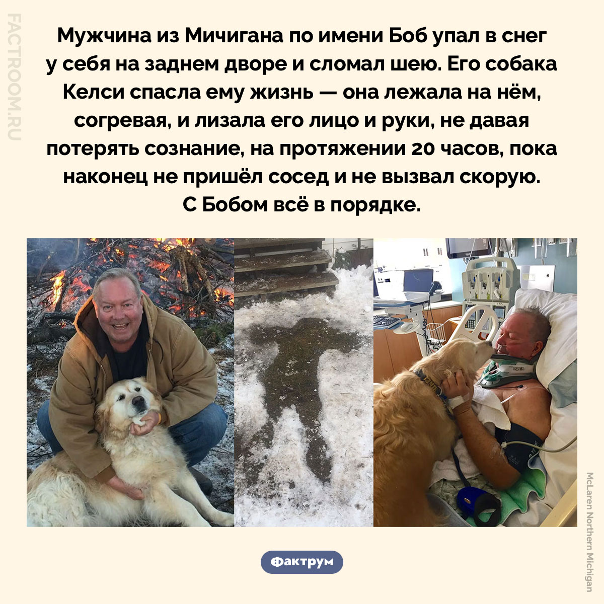 Боб и Келси. Мужчина из Мичигана по имени Боб упал в снег у себя на заднем дворе и сломал шею. Его собака Келси спасла ему жизнь — она лежала на нём, согревая, и лизала его лицо и руки, не давая потерять сознание, на протяжении 20 часов, пока наконец не пришёл сосед и не вызвал скорую. С Бобом всё в порядке.