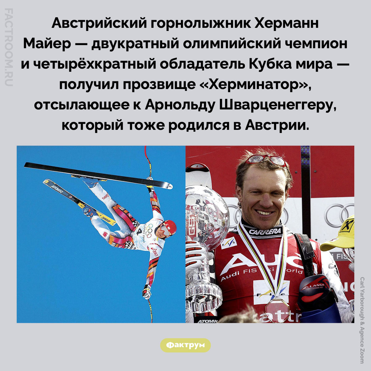 Херминатор. Австрийский горнолыжник Херманн Майер — двукратный олимпийский чемпион и четырёхкратный обладатель Кубка мира — получил прозвище «Херминатор», отсылающее к Арнольду Шварценеггеру, который тоже родился в Австрии.