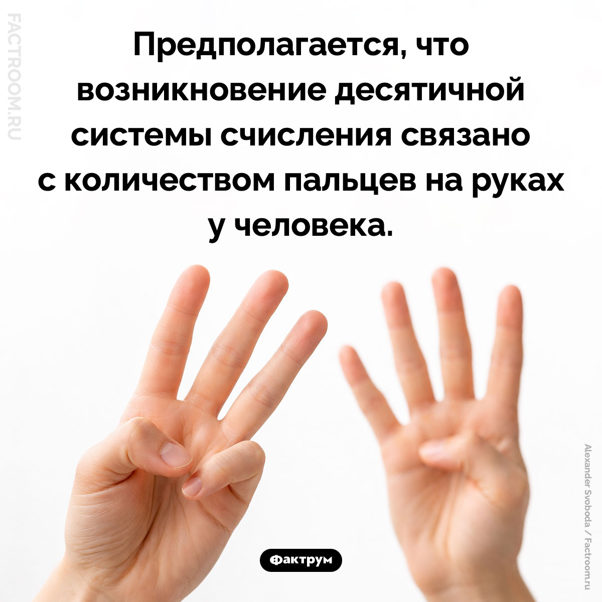Как появилась десятичная система счисления. Предполагается, что возникновение десятичной системы счисления связано с количеством пальцев на руках у человека.