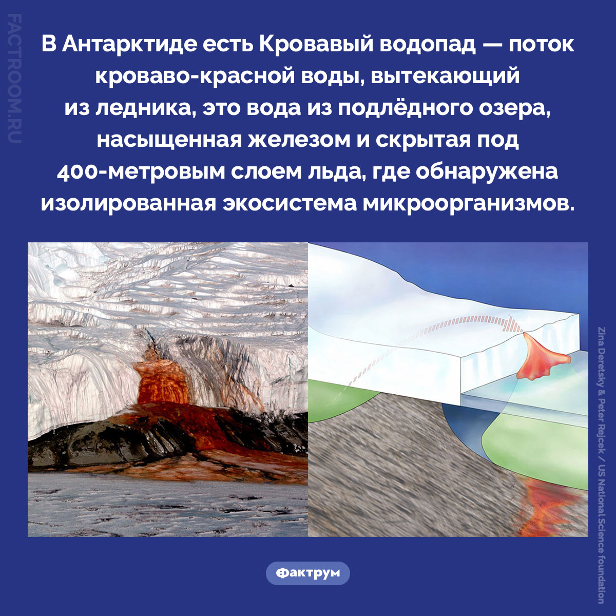 Кровавый водопад в Антарктиде. В Антарктиде есть Кровавый водопад — поток кроваво-красной воды, вытекающий из ледника, это вода из подлёдного озера, насыщенная железом и скрытая под 400-метровым слоем льда, где обнаружена изолированная экосистема микроорганизмов.