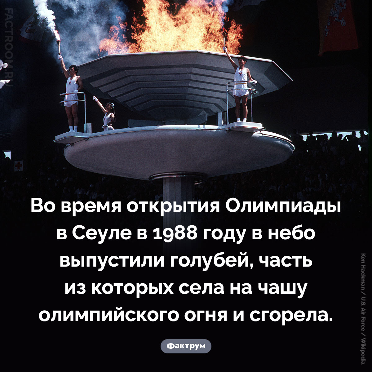 Олимпийский огонь в Сеуле. Во время открытия Олимпиады в Сеуле в 1988 году в небо выпустили голубей, часть из которых села на чашу олимпийского огня и сгорела.