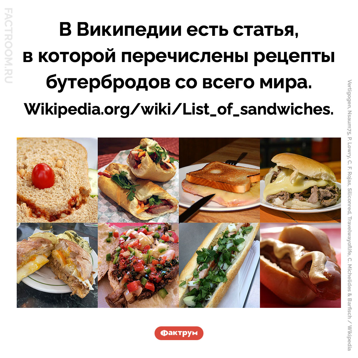 Рецепты бутербродов со всего мира. В Википедии есть статья, в которой перечислены рецепты бутербродов со всего мира (Wikipedia.org/wiki/List_of_sandwiches).