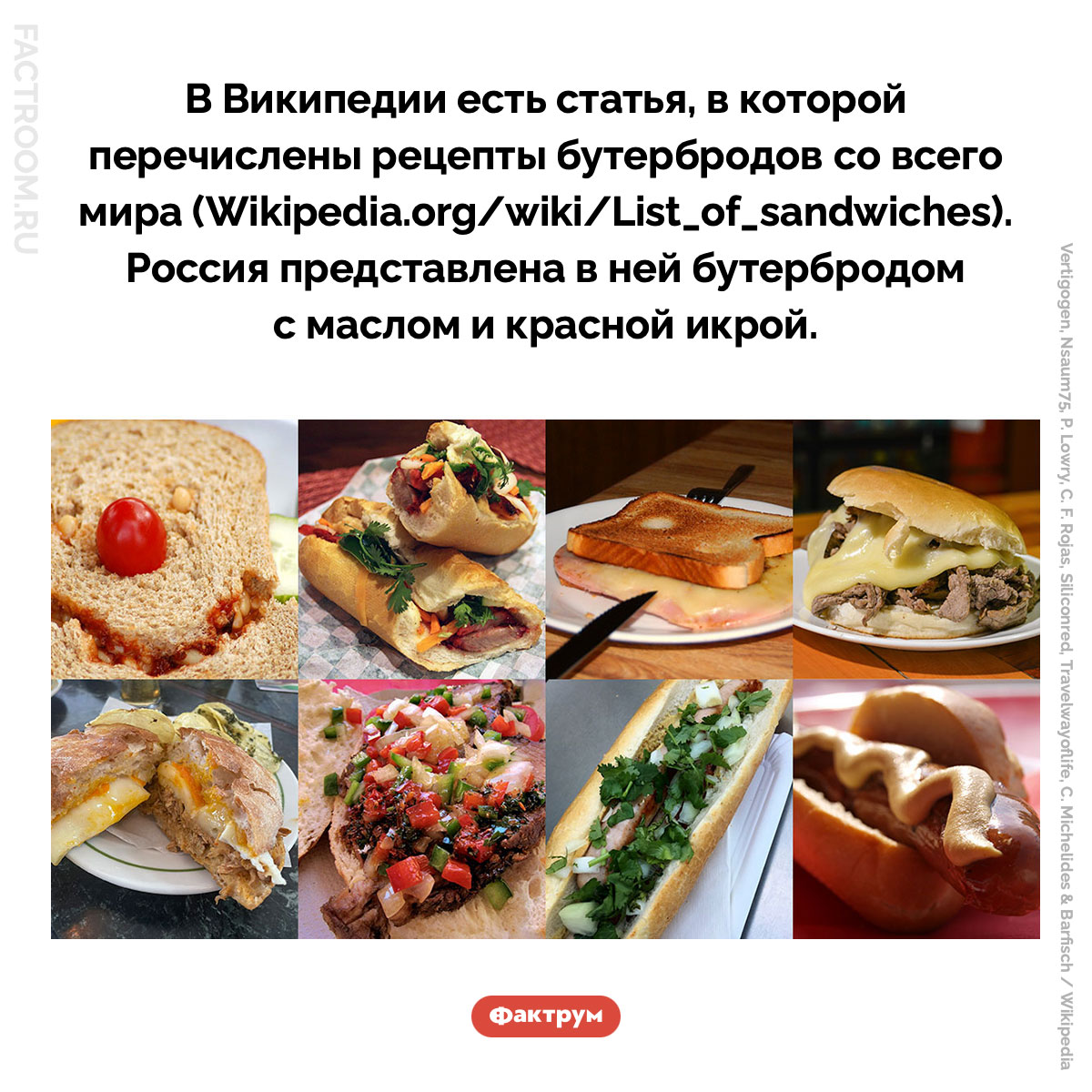 Рецепты бутербродов со всего мира. В Википедии есть статья, в которой перечислены рецепты бутербродов со всего мира (Wikipedia.org/wiki/List_of_sandwiches). Россия представлена в ней бутербродом с маслом и красной икрой.