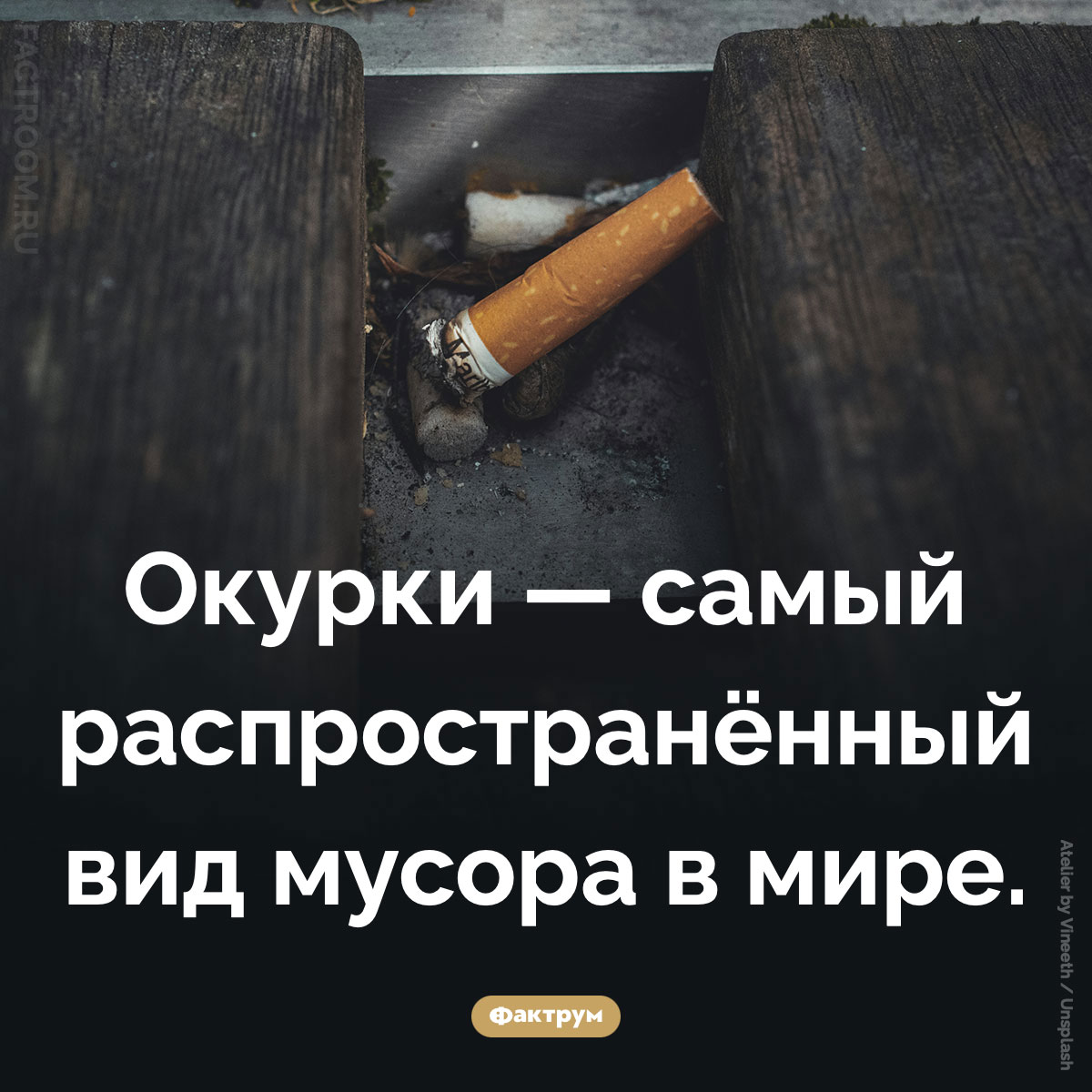 Самый распространённый мусор в мире. Окурки — самый распространённый вид мусора в мире.