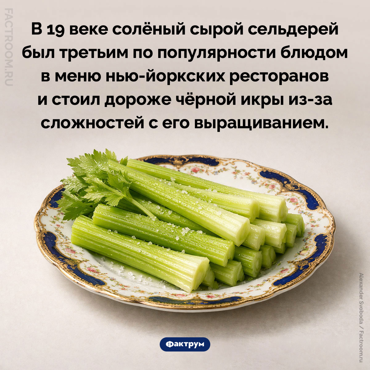 Третье по популярности блюдо в нью-йоркских ресторанах 19 века. В 19 веке солёный сырой сельдерей был третьим по популярности блюдом в меню нью-йоркских ресторанов и стоил дороже чёрной икры из-за сложностей с его выращиванием.