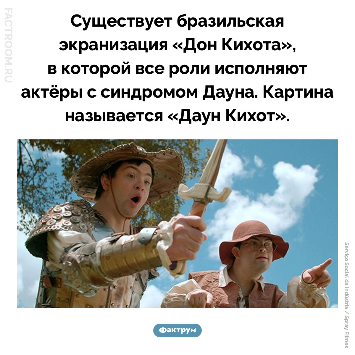 «Даун Кихот». Существует бразильская экранизация «Дон Кихота», в которой все роли исполняют актёры с синдромом Дауна. Картина называется «Даун Кихот».