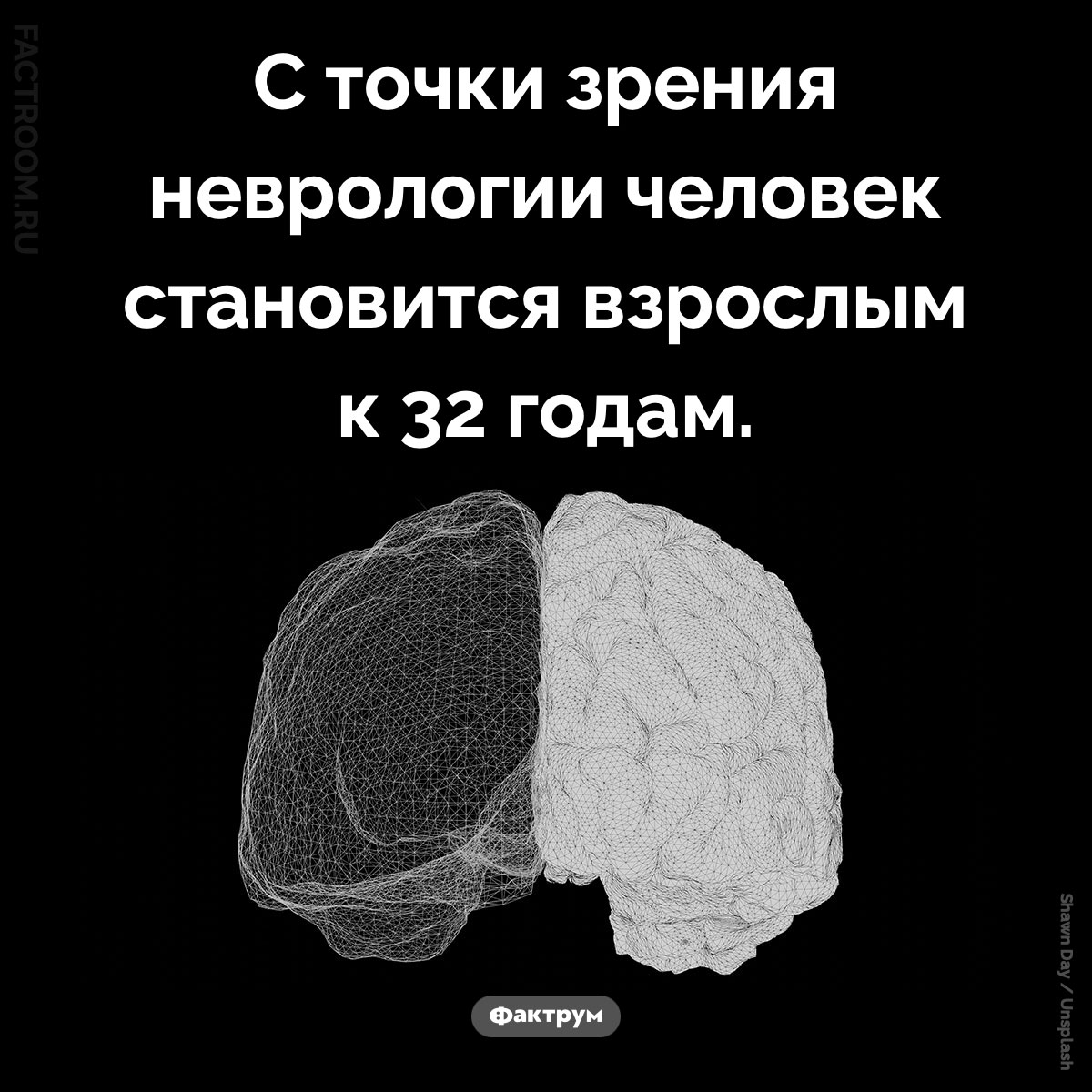 Когда человек становится взрослым. С точки зрения неврологии человек становится взрослым к 32 годам.