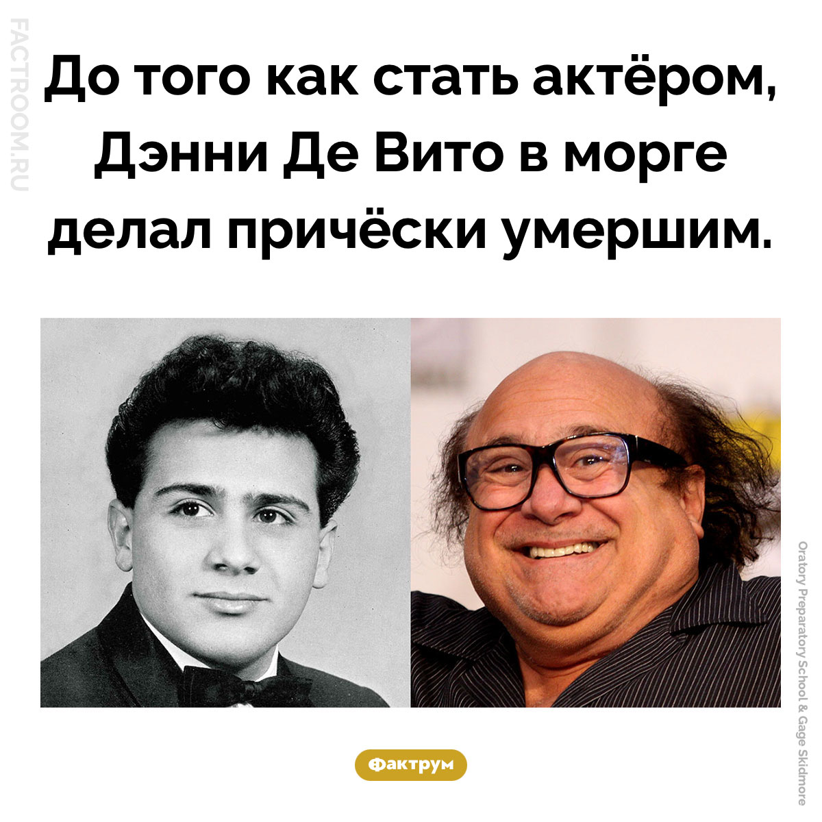 Парикмахер Дэнни Де Вито. До того как стать актёром, Дэнни Де Вито в морге делал причёски умершим.