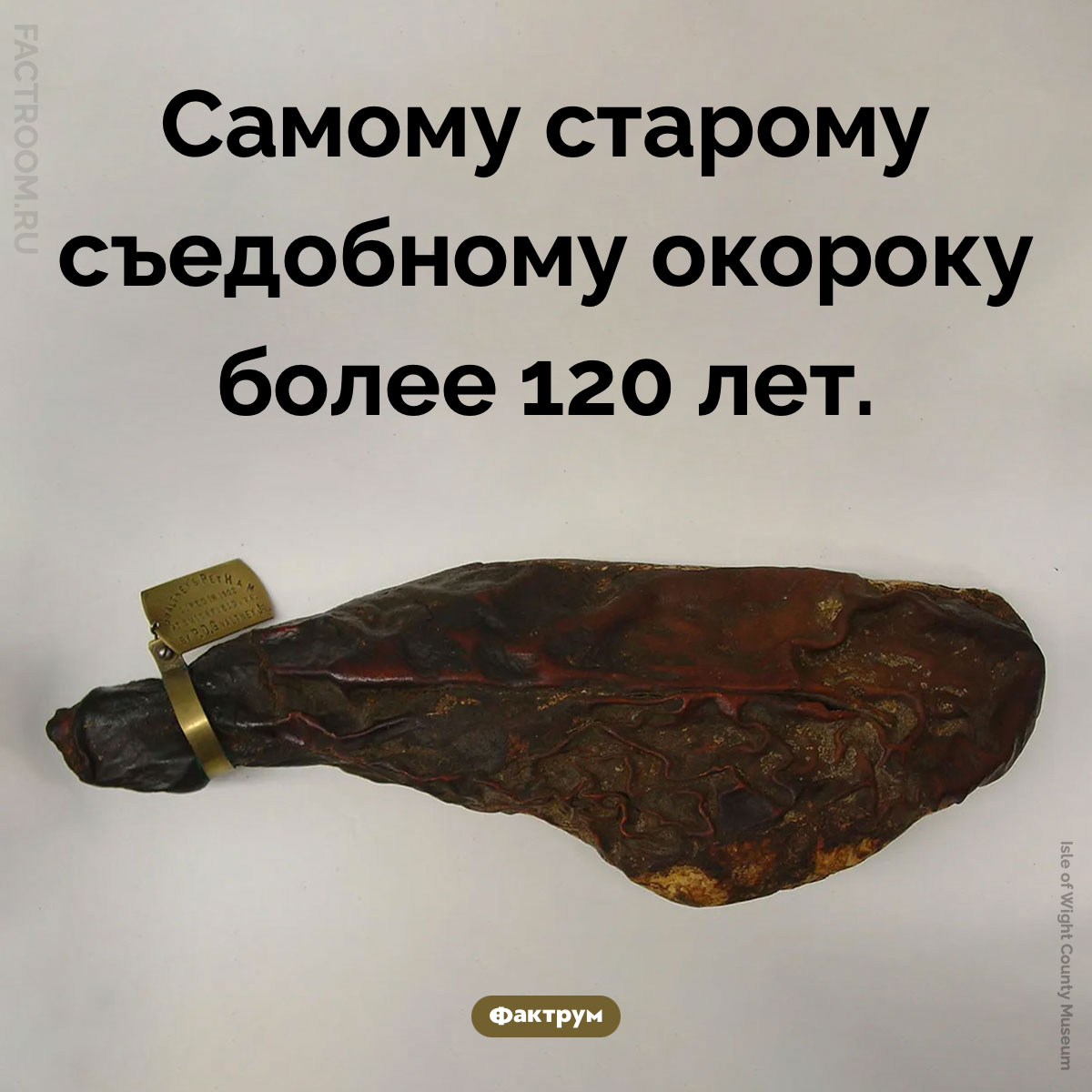 Самый старый окорок. Самому старому съедобному окороку более 120 лет