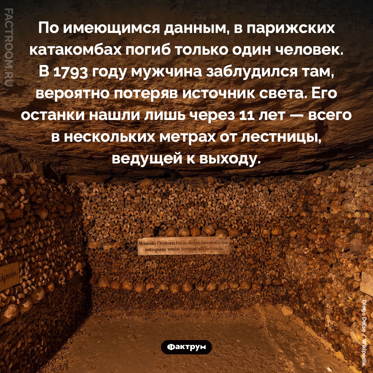 Смерть в парижских катакомбах. По имеющимся данным, в парижских катакомбах погиб только один человек. В 1793 году мужчина заблудился там, вероятно потеряв источник света. Его останки нашли лишь через 11 лет — всего в нескольких метрах от лестницы, ведущей к выходу.