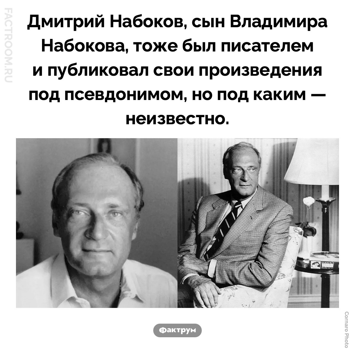 Сын Владимира Набокова тоже писатель. Дмитрий Набоков, сын Владимира Набокова, тоже был писателем и публиковал свои произведения под псевдонимом, но под каким — неизвестно.