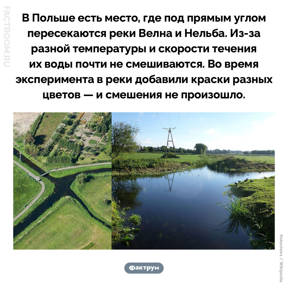 Велна и Нельба. В Польше есть место, где под прямым углом пересекаются реки Велна и Нельба. Из-за разной температуры и скорости течения их воды почти не смешиваются. Во время эксперимента в реки добавили краски разных цветов — и смешения не произошло.