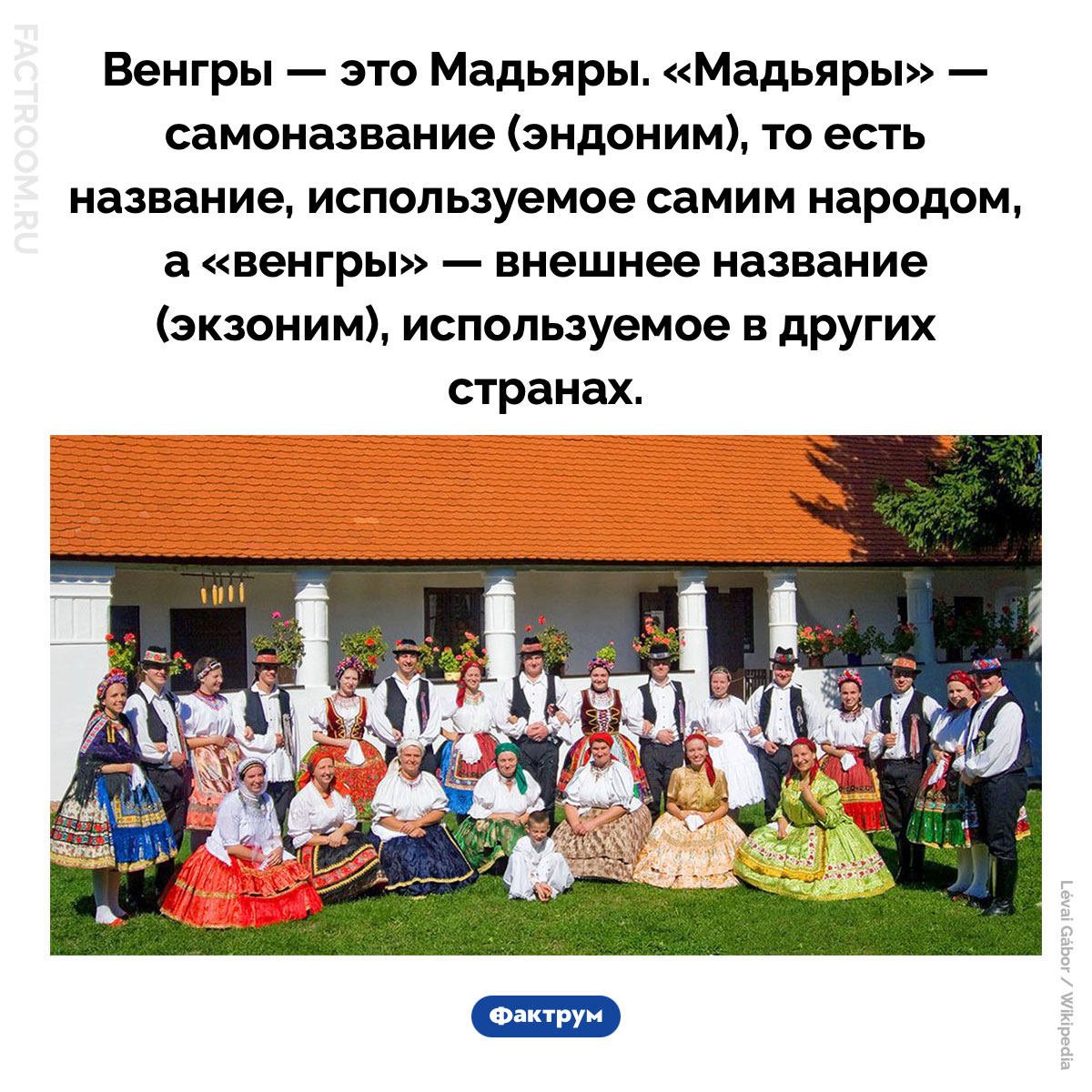 Венгры — это Мадьяры. Венгры — это Мадьяры. «Мадьяры» — самоназвание (эндоним), то есть название, используемое самим народом, а «венгры» — внешнее название (экзоним), используемое другими странами.