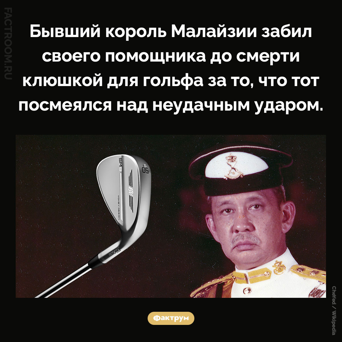 Жестокий король Малайзии. Бывший король Малайзии забил своего помощника до смерти клюшкой для гольфа за то, что тот посмеялся над неудачным ударом.
