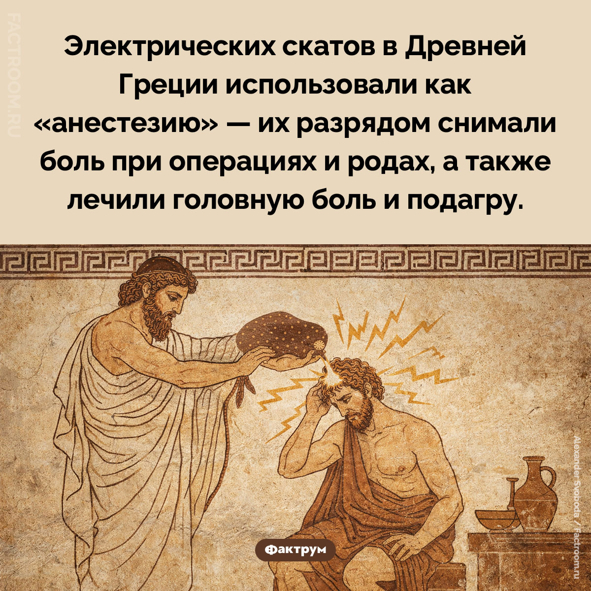 Анестезия скатами. Электрических скатов в Древней Греции использовали как «анестезию» — их разрядом снимали боль при операциях и родах, а также лечили головную боль и подагру.