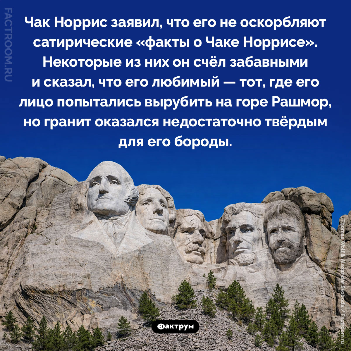 Что Чак Норрис думает о сатирических фактах о нём. Чак Норрис заявил, что его не оскорбляют сатирические «факты о Чаке Норрисе». Некоторые из них он счёл забавными и сказал, что его любимый — тот, где его лицо попытались вырубить на горе Рашмор, но гранит оказался недостаточно твёрдым для его бороды.
