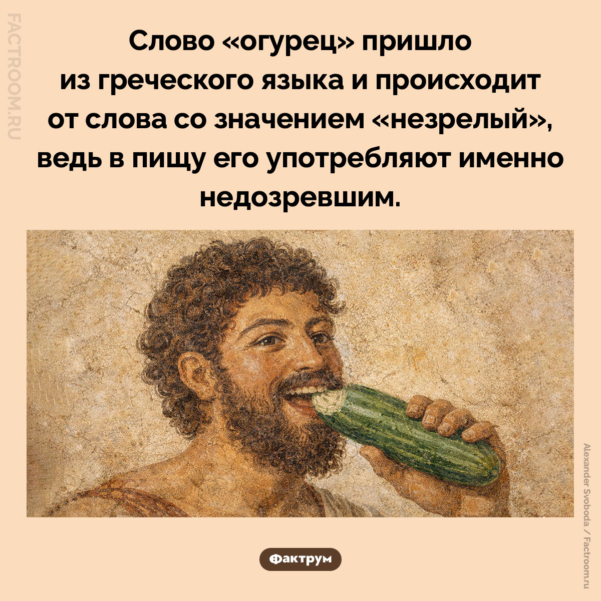 Что означает слово «огурец». Слово «огурец» пришло из греческого языка и происходит от слова со значением «незрелый», ведь в пищу его употребляют именно недозревшим.