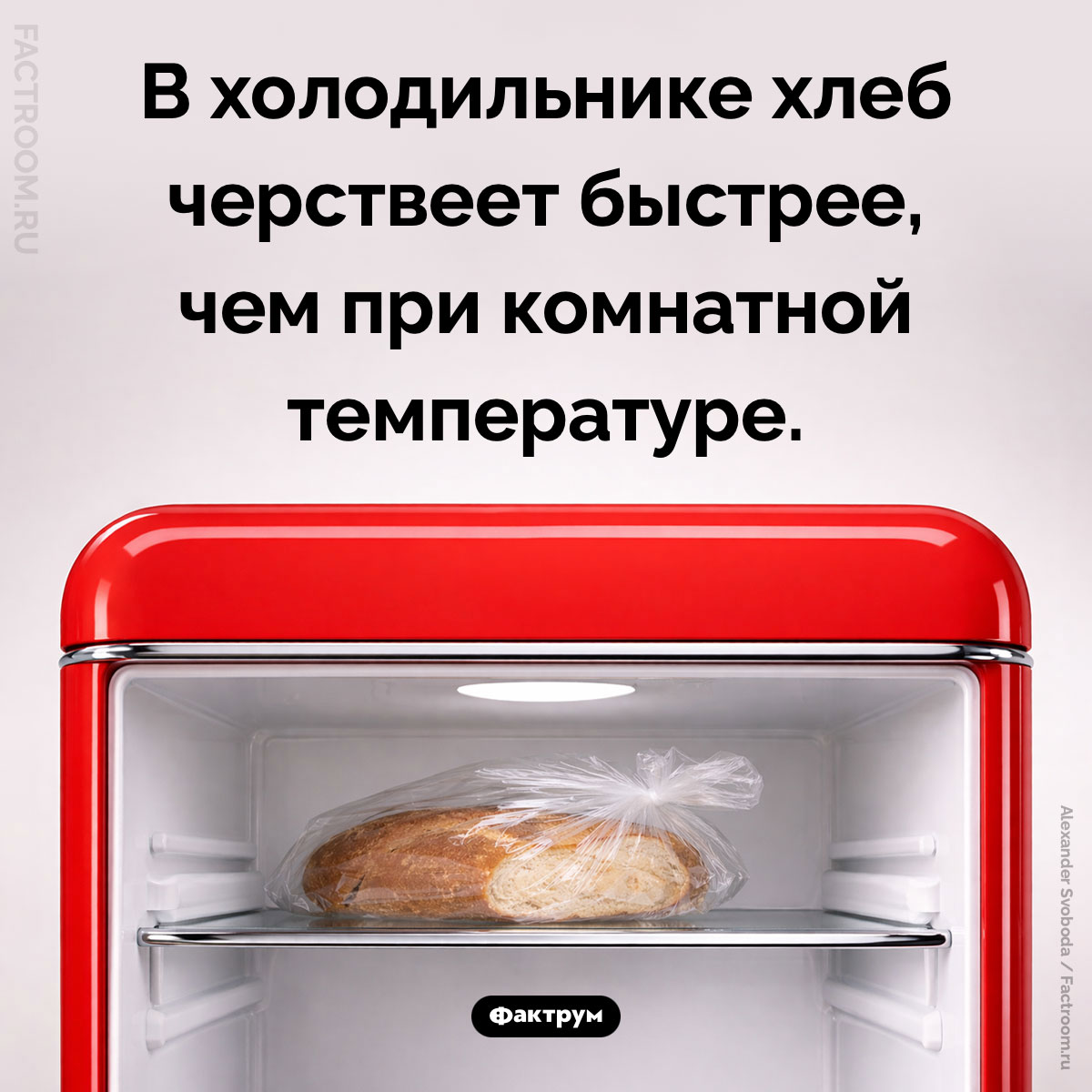 Хранение хлеба в холодильнике. В холодильнике хлеб черствеет быстрее, чем при комнатной температуре.