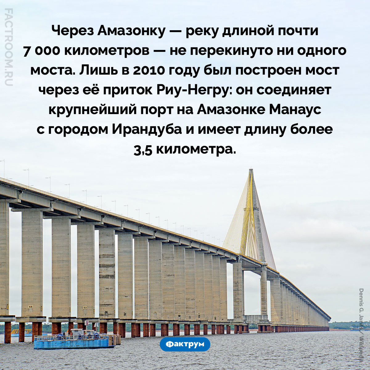 Мост Риу-Негру. Через Амазонку — реку длиной почти 7 000 километров — не перекинуто ни одного моста. Лишь в 2010 году был построен мост через её приток Риу-Негру: он соединяет крупнейший порт на Амазонке Манаус с городом Ирандуба и имеет длину более 3,5 километра.