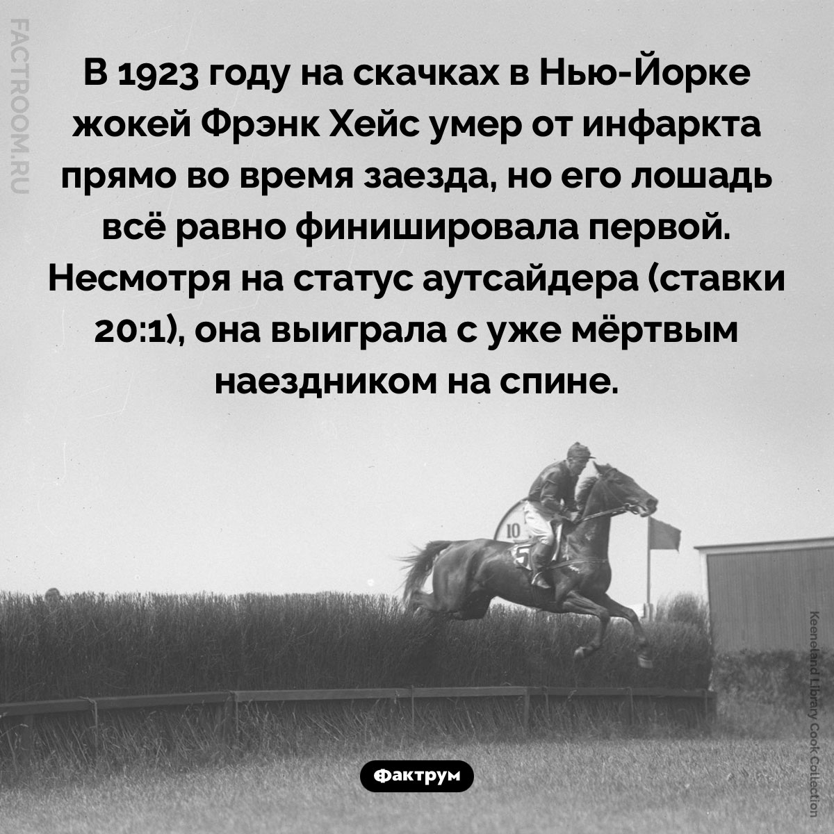 Мёртвый жокей. В 1923 году на скачках в Нью-Йорке жокей Фрэнк Хейс умер от инфаркта прямо во время заезда, но его лошадь всё равно финишировала первой. Несмотря на статус аутсайдера (ставки 20:1), она выиграла с уже мёртвым наездником на спине.