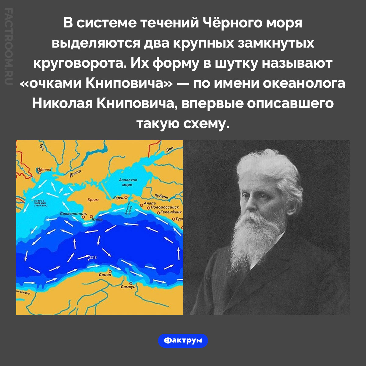 Очки Книповича. В системе течений Чёрного моря выделяются два крупных замкнутых круговорота. Их форму в шутку называют «очками Книповича» — по имени океанолога Николая Книповича, впервые описавшего такую схему.