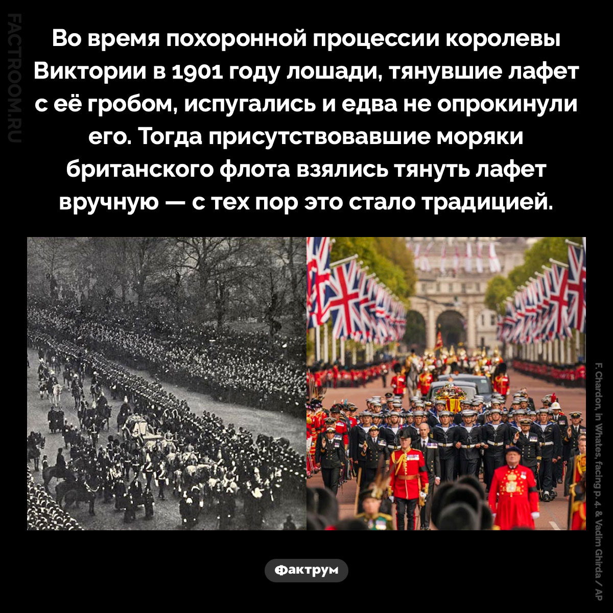 Похоронная традиция британских монархов. Во время похоронной процессии королевы Виктории в 1901 году лошади, тянувшие лафет с её гробом, испугались и едва не опрокинули его. Тогда присутствовавшие моряки британского флота взялись тянуть лафет вручную — с тех пор это стало традицией.
