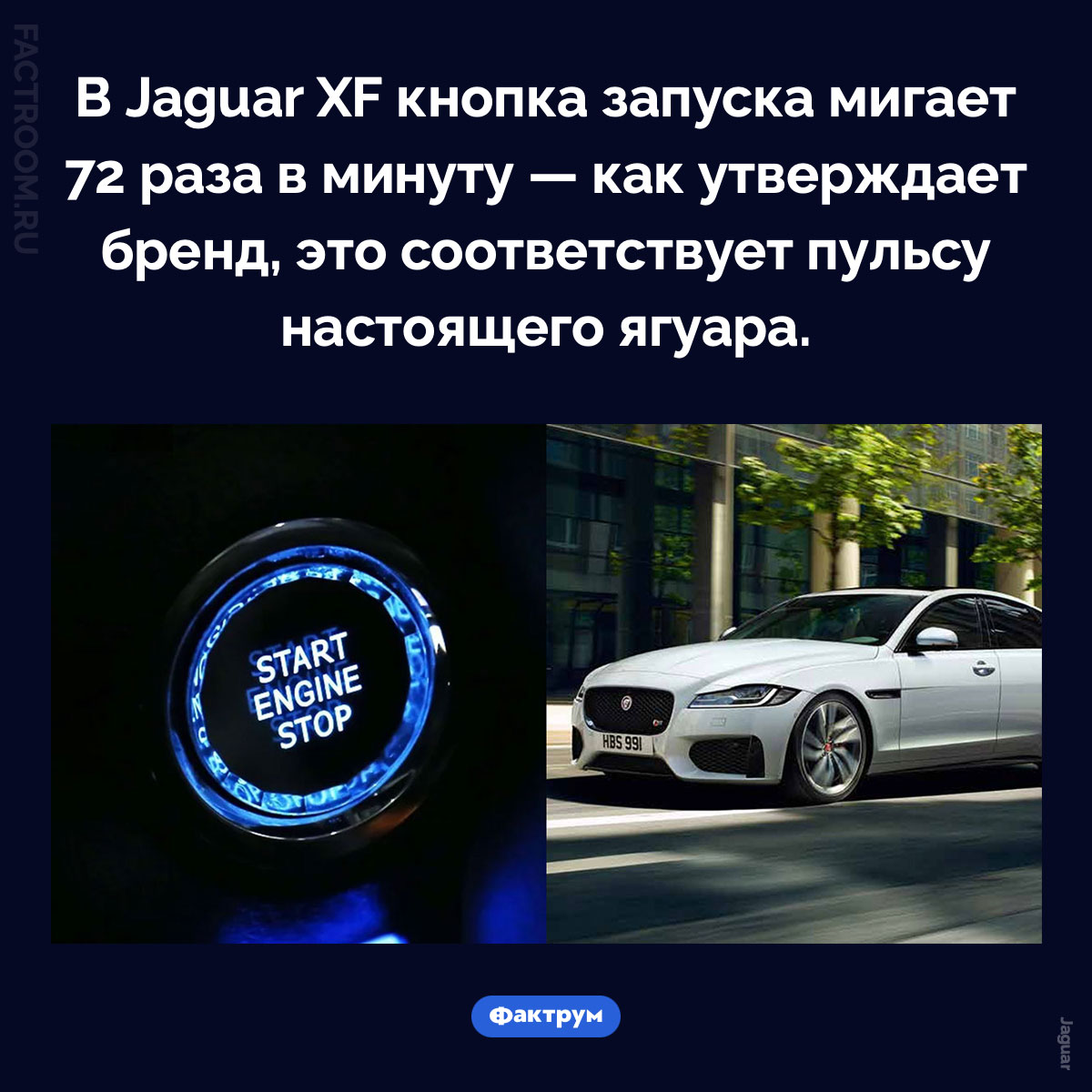 Пульс Jaguar XF. В Jaguar XF кнопка запуска мигает 72 раза в минуту — как утверждает бренд, это соответствует пульсу настоящего ягуара.