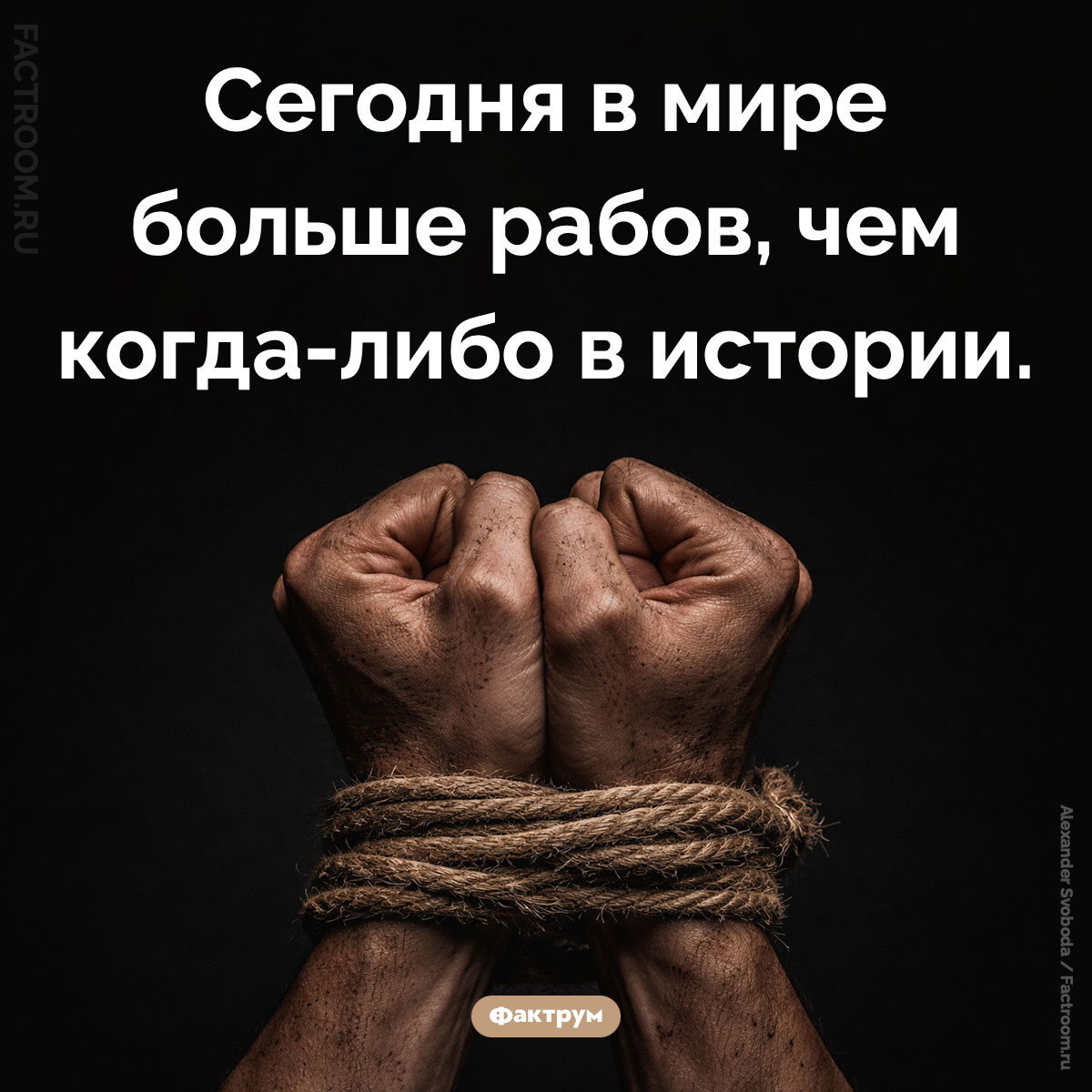 Рабство сегодня. Сегодня в мире больше рабов, чем когда-либо в истории.