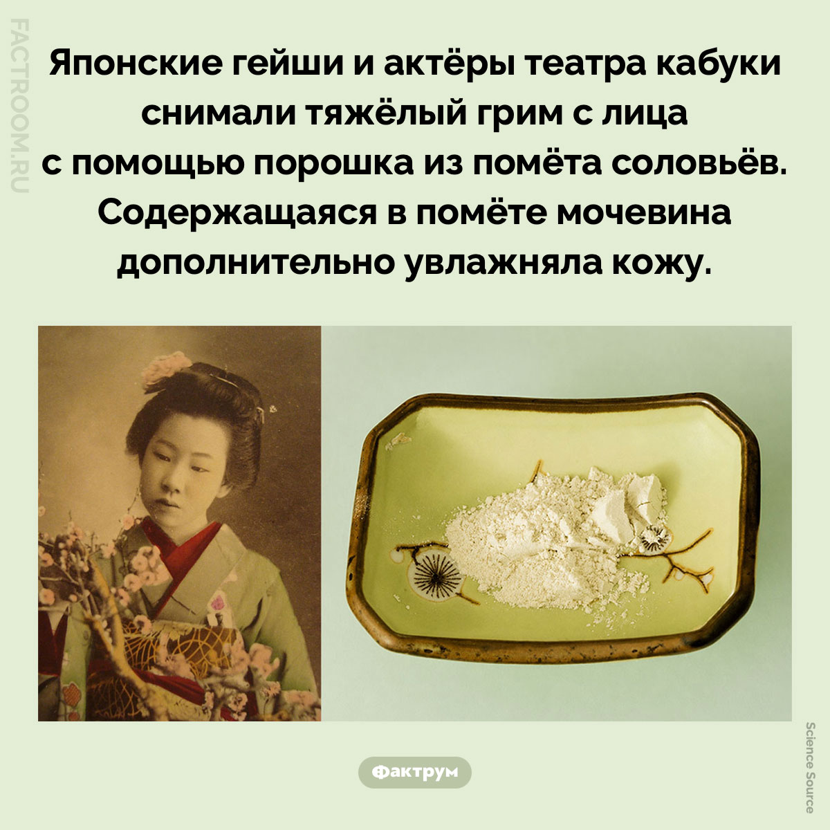 Чем гейши снимали грим с лица. Японские гейши и актёры театра кабуки снимали тяжёлый грим с лица с помощью порошка из помёта соловьёв. Содержащаяся в помёте мочевина дополнительно увлажняла кожу.