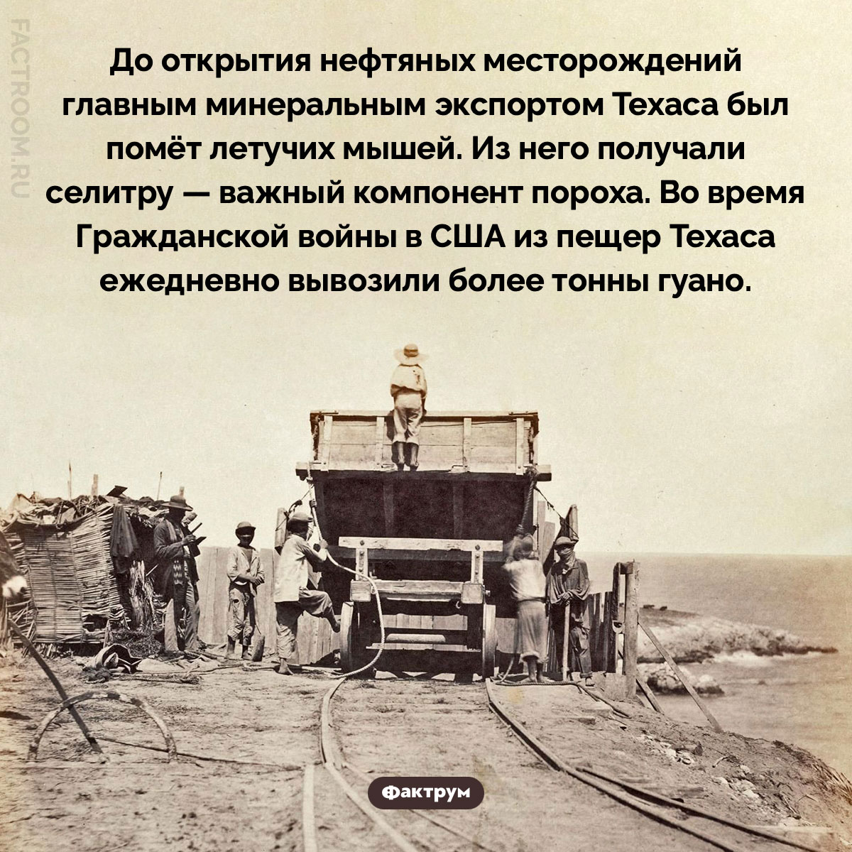 Главным минеральным экспортом Техас был помёт летучих мышей. До открытия нефтяных месторождений главным минеральным экспортом Техаса был помёт летучих мышей. Из него получали селитру — важный компонент пороха. Во время Гражданской войны в США из пещер Техаса ежедневно вывозили более тонны гуано.