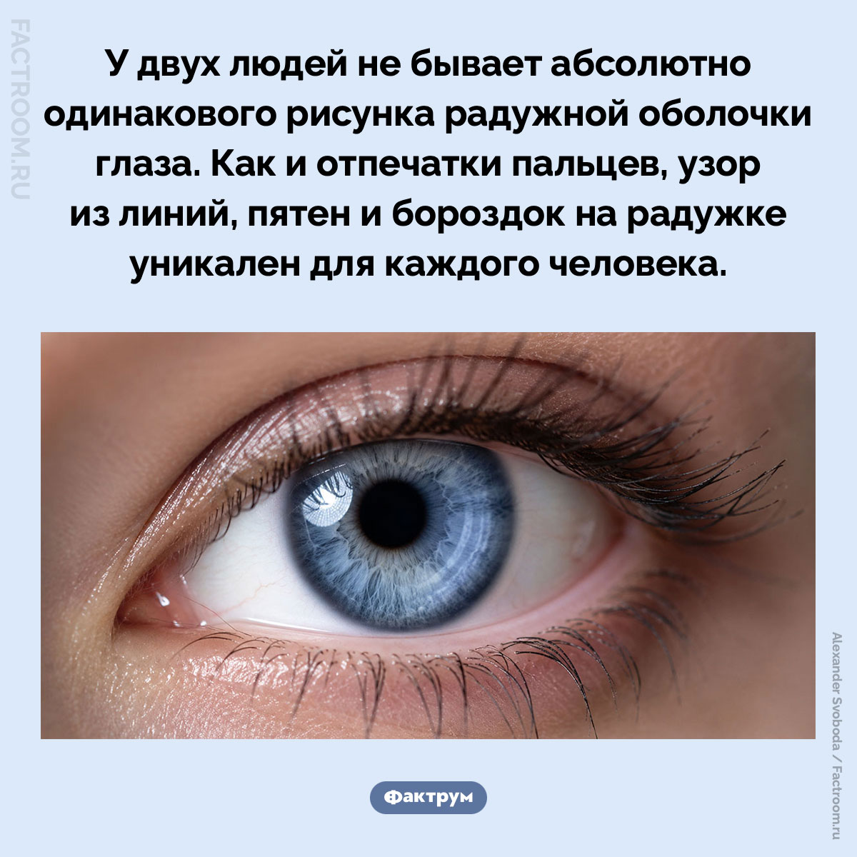 Глаза уникальны как отпечатки пальцев. У двух людей не бывает абсолютно одинакового рисунка радужной оболочки глаза. Как и отпечатки пальцев, узор из линий, пятен и бороздок на радужке уникален для каждого человека.