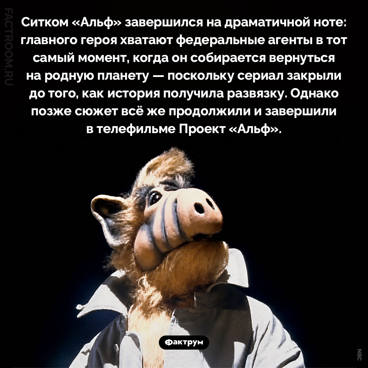 Как закончился сериал «Альф». Ситком «Альф» завершился на драматичной ноте: главного героя хватают федеральные агенты в тот самый момент, когда он собирается вернуться на родную планету — поскольку сериал закрыли до того, как история получила развязку. Однако позже сюжет всё же продолжили и завершили в телефильме Проект «Альф».