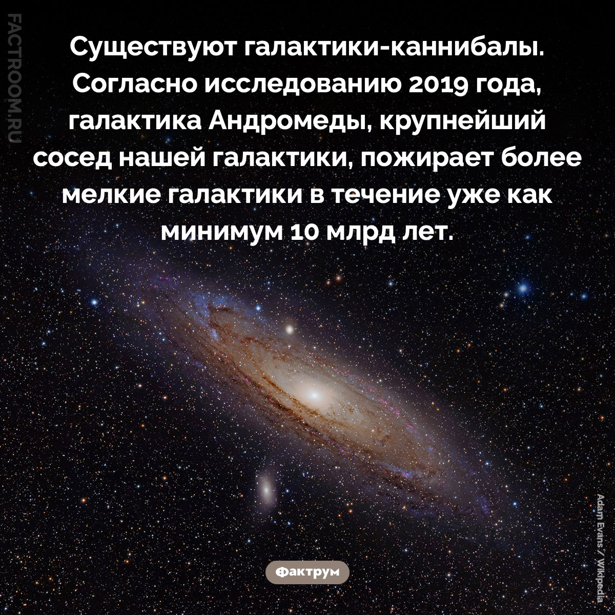 Галактики-каннибалы. Существуют галактики-каннибалы. Согласно исследованию 2019 года, галактика Андромеды, крупнейший сосед нашей галактики, пожирает более мелкие галактики в течение уже как минимум 10 млрд лет.