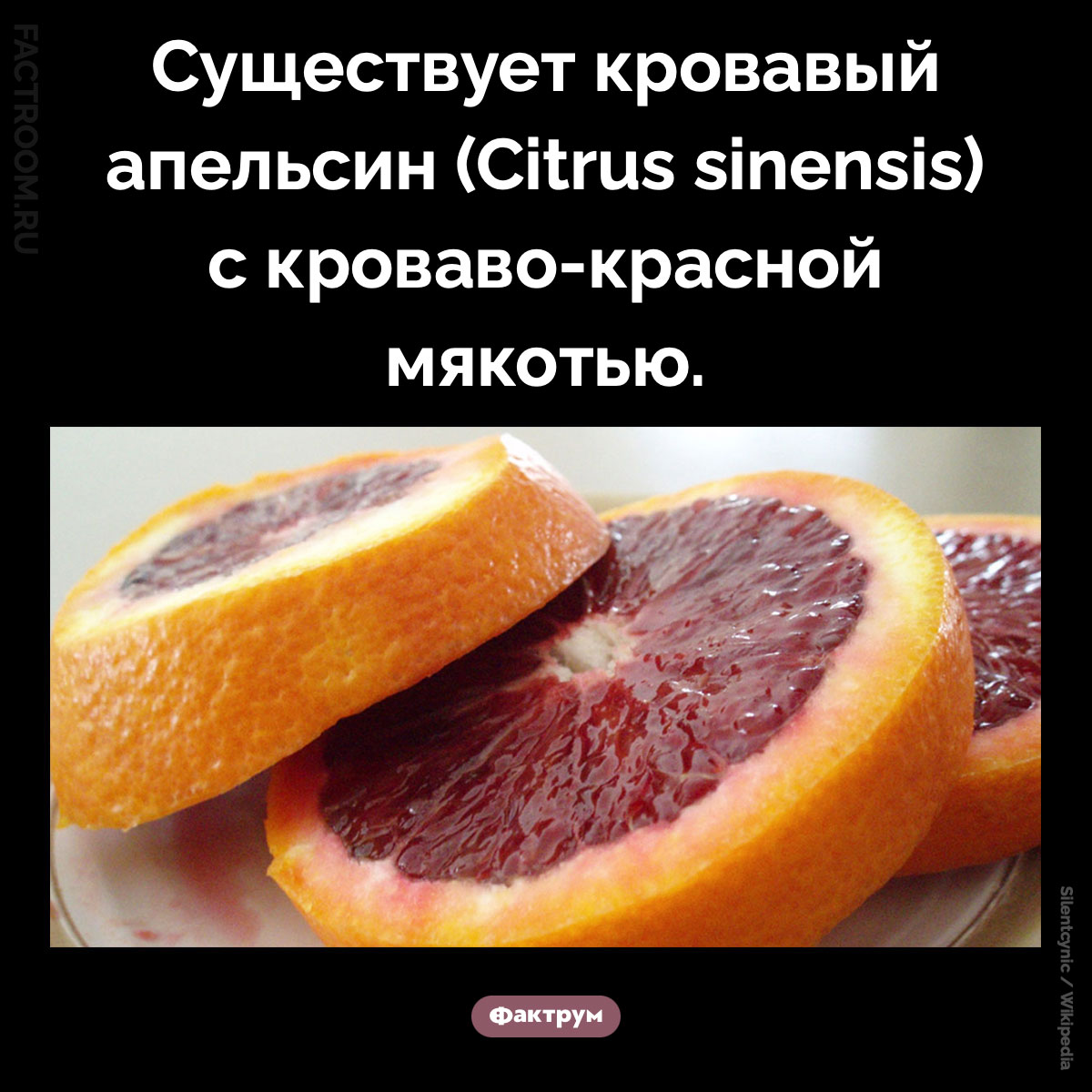 Кровавый апельсин. Существует кровавый апельсин (Citrus sinensis) с кроваво-красной мякотью.