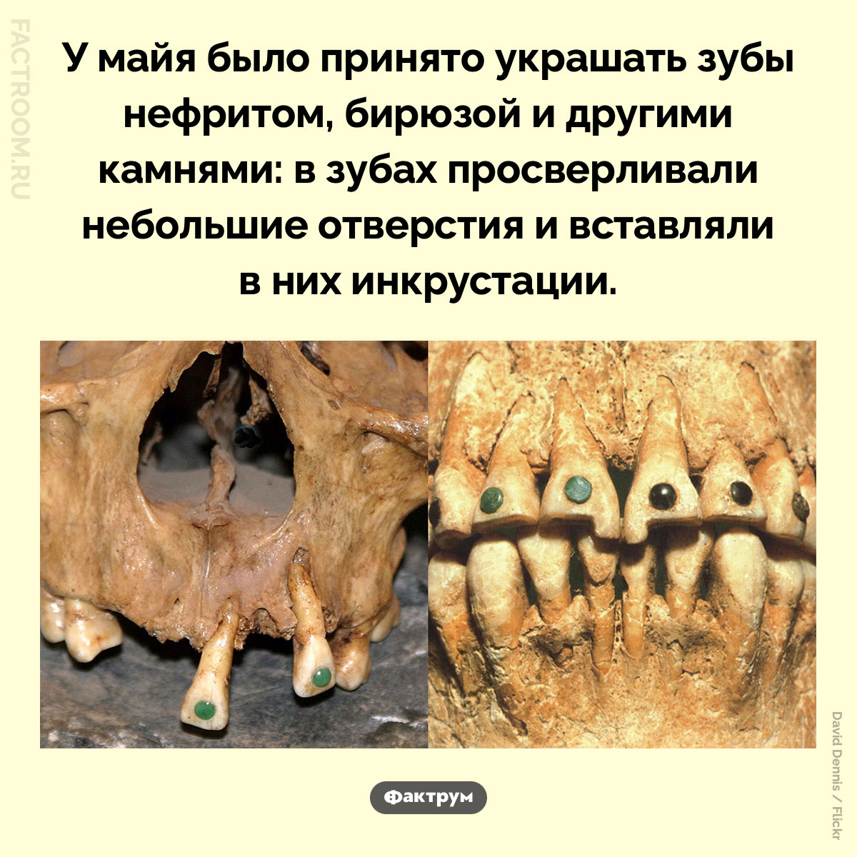 Майя украшали зубы камнями. У майя было принято украшать зубы нефритом, бирюзой и другими камнями: в зубах просверливали небольшие отверстия и вставляли в них инкрустации.