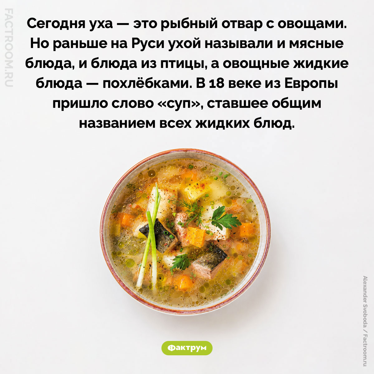 Мясная уха. Сегодня уха — это рыбный отвар с овощами. Но раньше на Руси ухой называли и мясные блюда, и блюда из птицы, а овощные жидкие блюда — похлёбками. В 18 веке из Европы пришло слово «суп», ставшее общим названием всех жидких блюд.