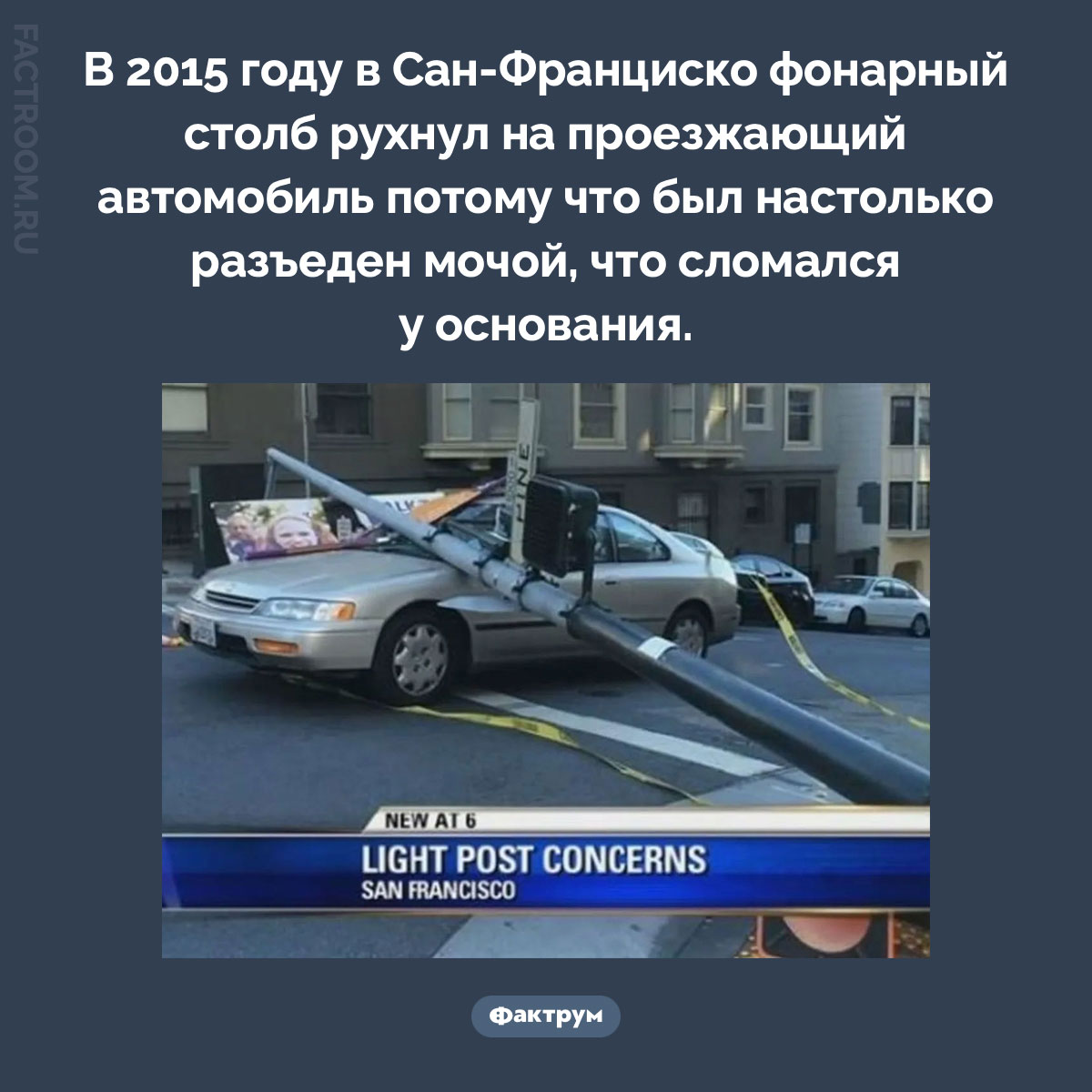 Подкошенный столб в Сан-Франциско. В 2015 году в Сан-Франциско фонарный столб рухнул на проезжающий автомобиль потому что был настолько разъеден мочой, что сломался у основания.